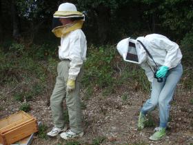 photo coins arrondis